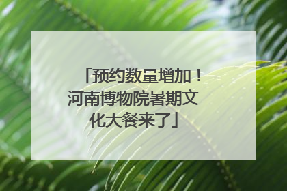 预约数量增加！河南博物院暑期文化大餐来了