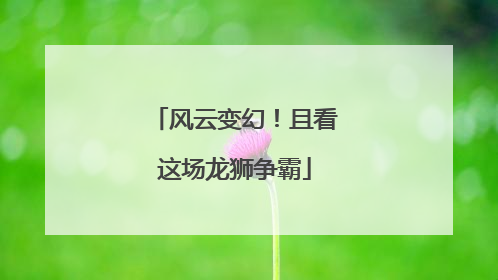 风云变幻！且看这场龙狮争霸