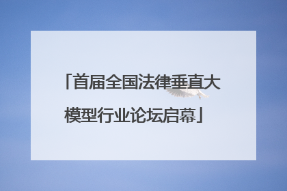 首届全国法律垂直大模型行业论坛启幕