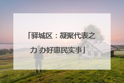 驿城区：凝聚代表之力 办好惠民实事