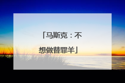 马斯克：不想做替罪羊