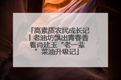 高素质农民成长记丨老油坊飘出青春香 看肖建玉“老一辈”菜油升级记