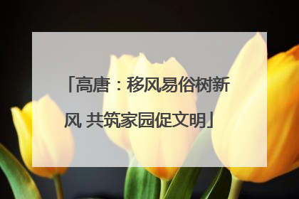 高唐：移风易俗树新风 共筑家园促文明