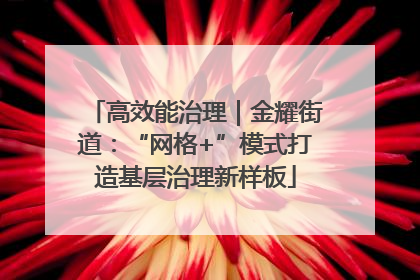 高效能治理｜金耀街道：“网格+”模式打造基层治理新样板