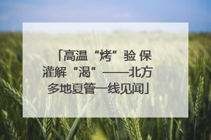 高温“烤”验 保灌解“渴”——北方多地夏管一线见闻