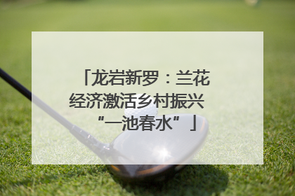 龙岩新罗：兰花经济激活乡村振兴“一池春水”
