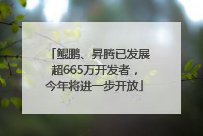 鲲鹏、昇腾已发展超665万开发者，今年将进一步开放