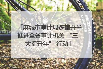 麻城市审计局多措并举推进全省审计机关 “三大提升年” 行动