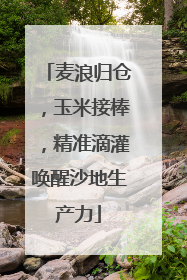 麦浪归仓，玉米接棒，精准滴灌唤醒沙地生产力