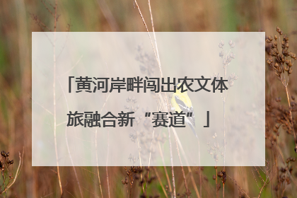 黄河岸畔闯出农文体旅融合新“赛道”