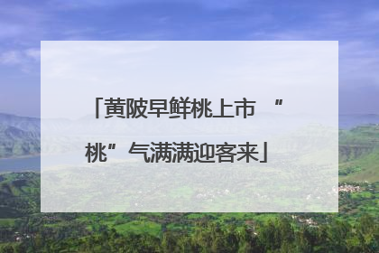 黄陂早鲜桃上市 “桃”气满满迎客来