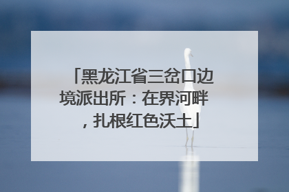 黑龙江省三岔口边境派出所：在界河畔，扎根红色沃土