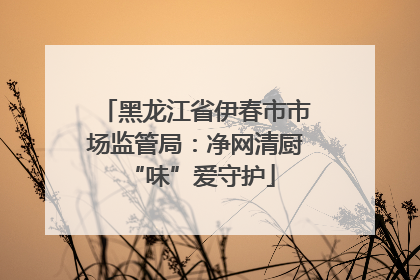 黑龙江省伊春市市场监管局：净网清厨 “味”爱守护