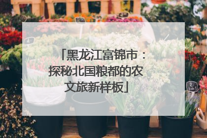 黑龙江富锦市：探秘北国粮都的农文旅新样板