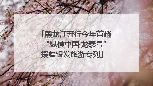 黑龙江开行今年首趟“纵横中国·龙泰号”援疆银发旅游专列