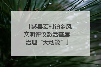 黟县宏村镇乡风文明评议激活基层治理“大动能”