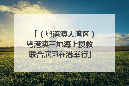 （粤港澳大湾区）粤港澳三地海上搜救联合演习在港举行