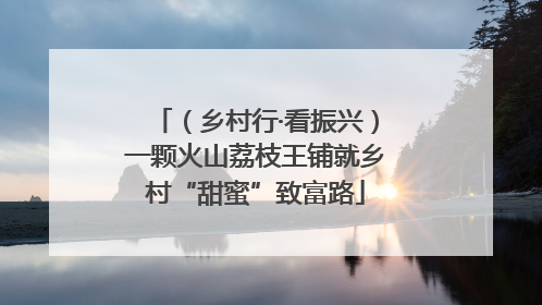 （乡村行·看振兴）一颗火山荔枝王铺就乡村“甜蜜”致富路