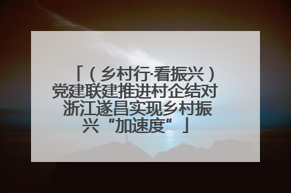 （乡村行·看振兴）党建联建推进村企结对 浙江遂昌实现乡村振兴“加速度”