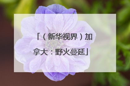 （新华视界）加拿大：野火蔓延