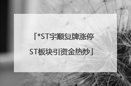 *ST宇顺复牌涨停 ST板块引资金热炒