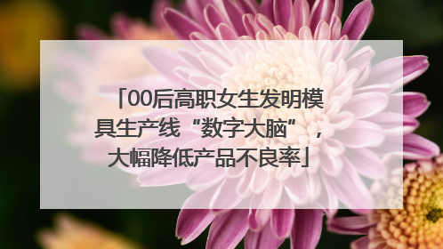 00后高职女生发明模具生产线“数字大脑”，大幅降低产品不良率