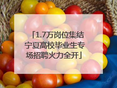 1.7万岗位集结 宁夏高校毕业生专场招聘火力全开