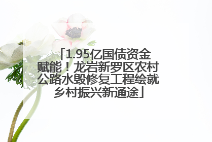 1.95亿国债资金赋能！龙岩新罗区农村公路水毁修复工程绘就乡村振兴新通途