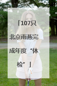 107只北京雨燕完成年度“体检”