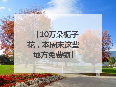 10万朵栀子花，本周末这些地方免费领