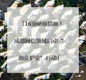 16项硬核措施！成都网信领域启动“助企护企”行动
