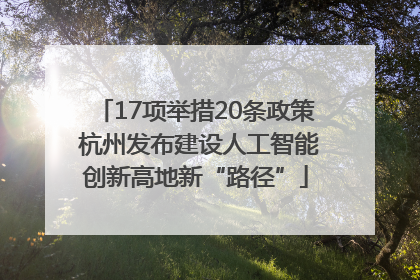 17项举措20条政策 杭州发布建设人工智能创新高地新“路径”