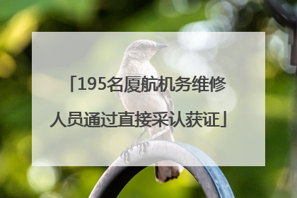 195名厦航机务维修人员通过直接采认获证