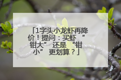1字头小龙虾再降价！提问：买虾 “钳大” 还是 “钳小” 更划算？