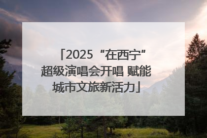 2025“在西宁”超级演唱会开唱 赋能城市文旅新活力