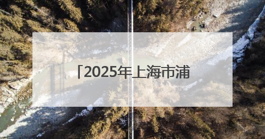 2025年上海市浦东新区社会组织高质量发展大会暨第二届长三角社会组织高质量发展峰会成功举办