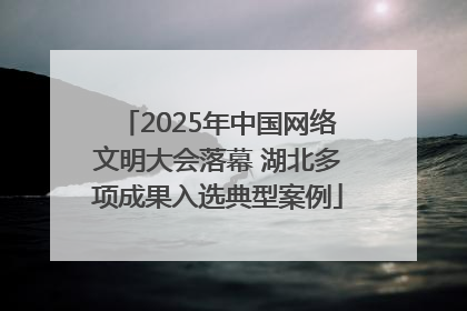 2025年中国网络文明大会落幕 湖北多项成果入选典型案例