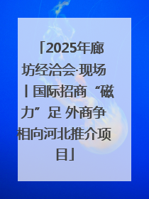 2025年廊坊经洽会·现场丨国际招商“磁力”足 外商争相向河北推介项目