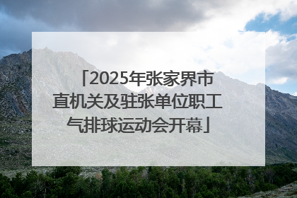 2025年张家界市直机关及驻张单位职工气排球运动会开幕