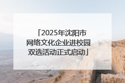 2025年沈阳市网络文化企业进校园双选活动正式启动