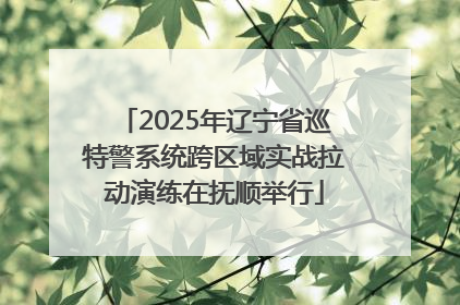 2025年辽宁省巡特警系统跨区域实战拉动演练在抚顺举行