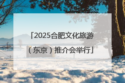 2025合肥文化旅游（东京）推介会举行