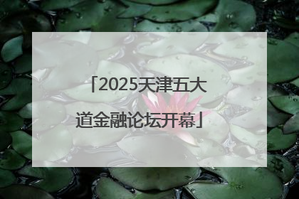 2025天津五大道金融论坛开幕