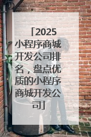 2025小程序商城开发公司排名，盘点优质的小程序商城开发公司
