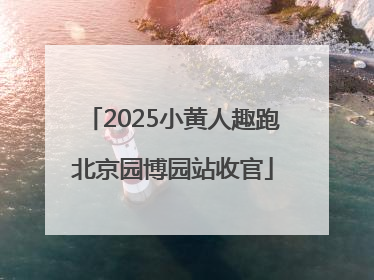 2025小黄人趣跑北京园博园站收官