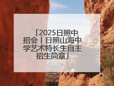 2025日照中招会丨日照山海中学艺术特长生自主招生简章