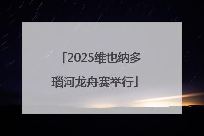 2025维也纳多瑙河龙舟赛举行
