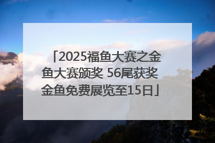 2025福鱼大赛之金鱼大赛颁奖 56尾获奖金鱼免费展览至15日