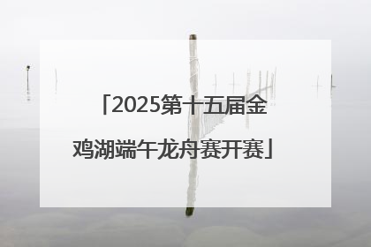 2025第十五届金鸡湖端午龙舟赛开赛