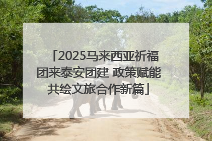 2025马来西亚祈福团来泰安团建 政策赋能共绘文旅合作新篇